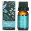 NATURAL BEAUTY - Essential Oil - Peppermint E1F1024K 10ml/0.34oz